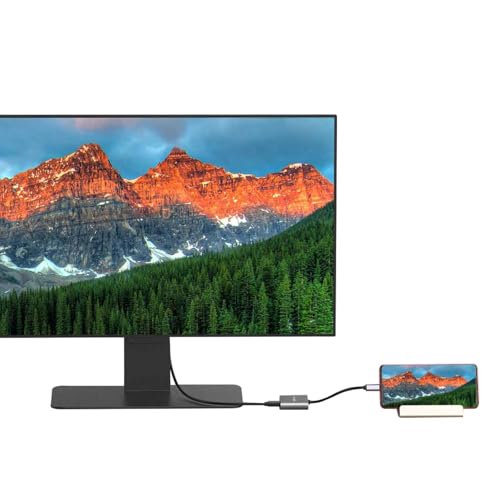 amazon basics 2-in-1 USB C