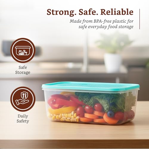 Amazon Brand - Solimo Plastic