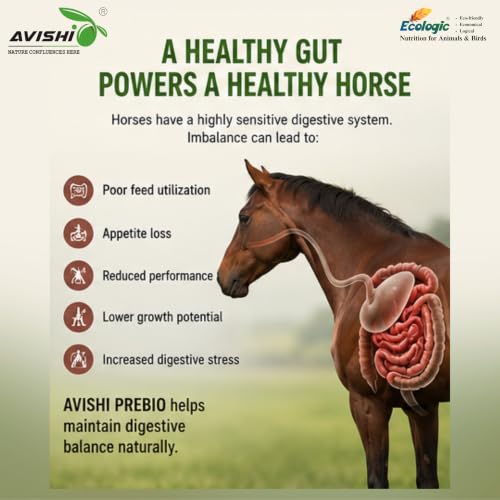 Avishi Prebio for Horses 250