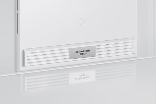 Samsung 396 L, 2 Star