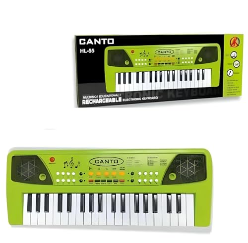 Rechargeable Electronic Keyboard Piano
