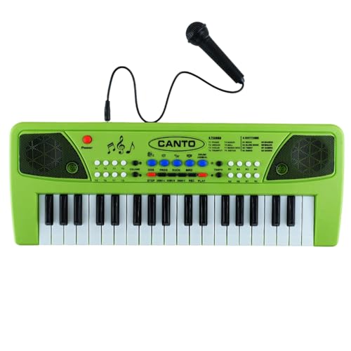 Rechargeable Electronic Keyboard Piano