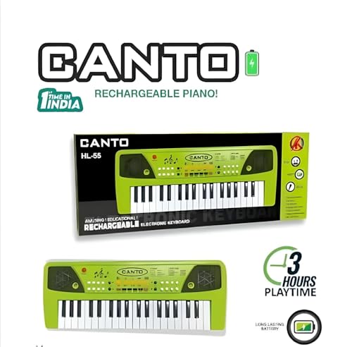 Rechargeable Electronic Keyboard Piano