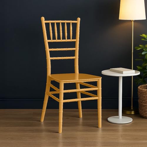 Nilkamal Bliss Plastic Chair