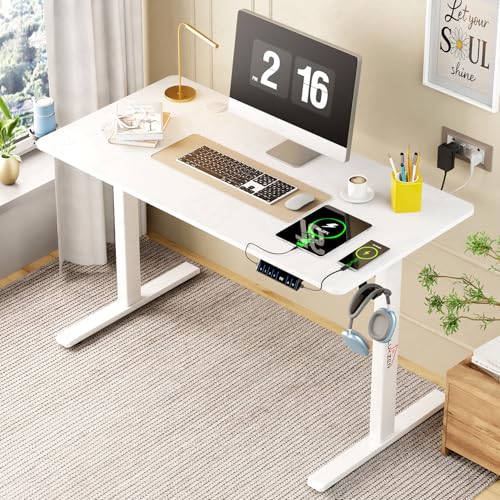 Lukzer Electric Height Adjustable Desk