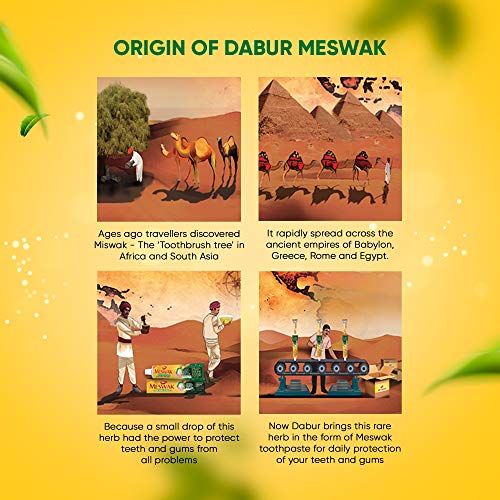 Dabur Meswak Complete Oral Care