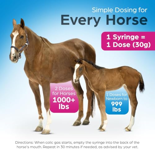 Horse Digestion Supplement to Prevent