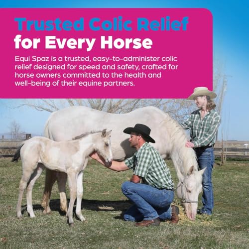 Horse Digestion Supplement to Prevent