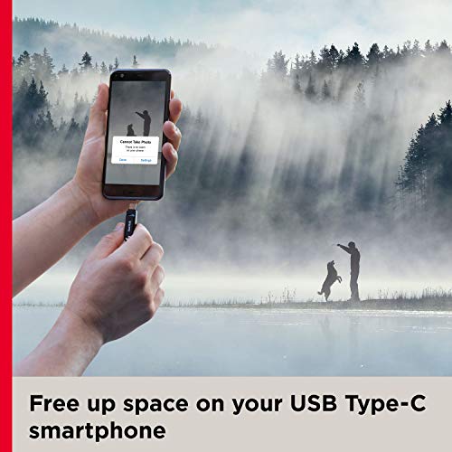SANDISK Ultra Dual Drive Go