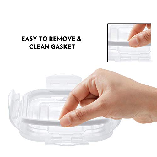 Borosil Container Glass Lunch Box