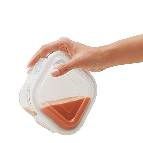 Borosil Container Glass Lunch Box