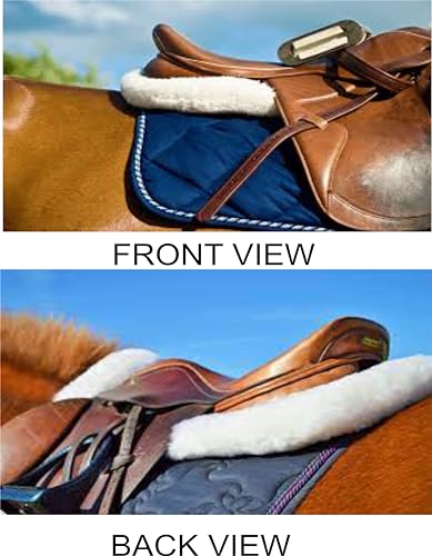 Horse Riding Gears and Track Set (Horse Half Saddle PAD) - Image 3