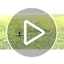 Go Hooked 2in1 Plant Watering