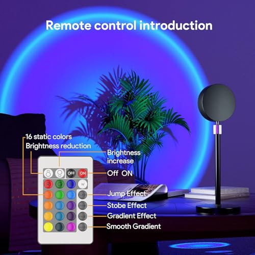 Desidiya® 16-Color LED Night Light