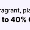 L'Oréal Paris Total Repair 5