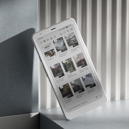 BOOX ePaper Reader Palma 2