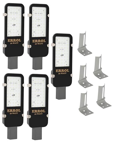 Errol 50 watt street light