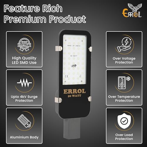 Errol 50 watt street light