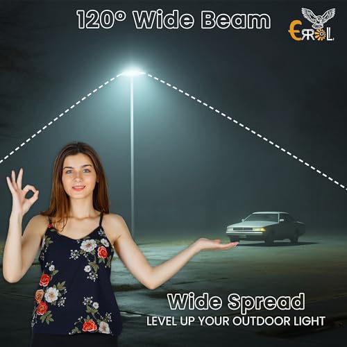 Errol 50 watt street light