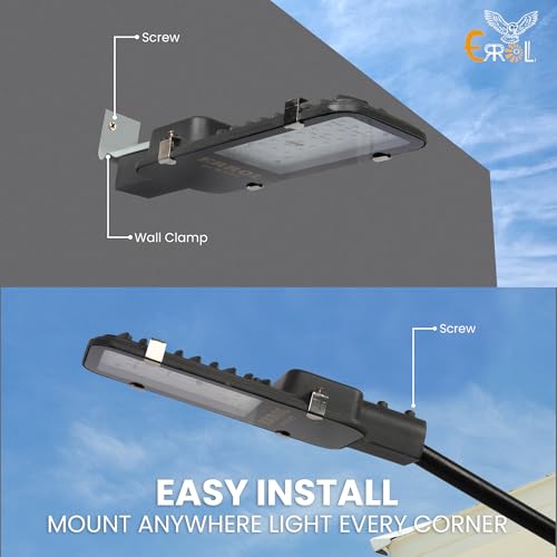 Errol 50 watt street light