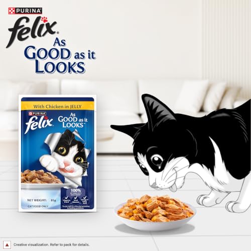 Purina Felix Chicken in Jelly