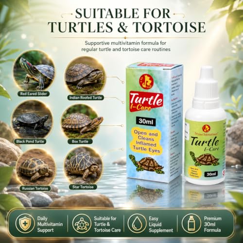 Pet Care International Turtle i-Care