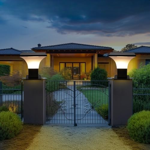 GreyWings Black Metal Outdoor Gate