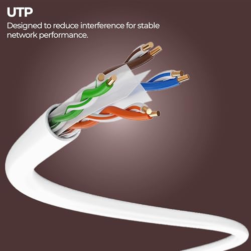 Zebronics Cat 6 Ethernet Cable