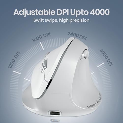 Portronics Toad Ergo 4 Vertical