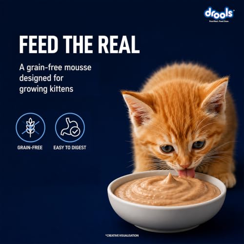 Drools Kitten Wet Mousse 80g