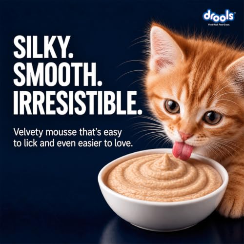 Drools Kitten Wet Mousse 80g