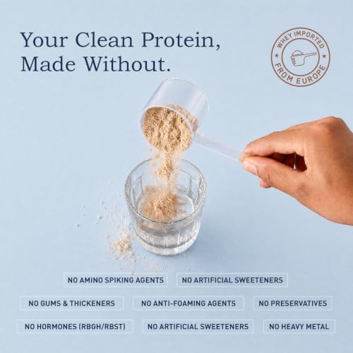 Bigmuscles Nutrition Essential Whey Protein