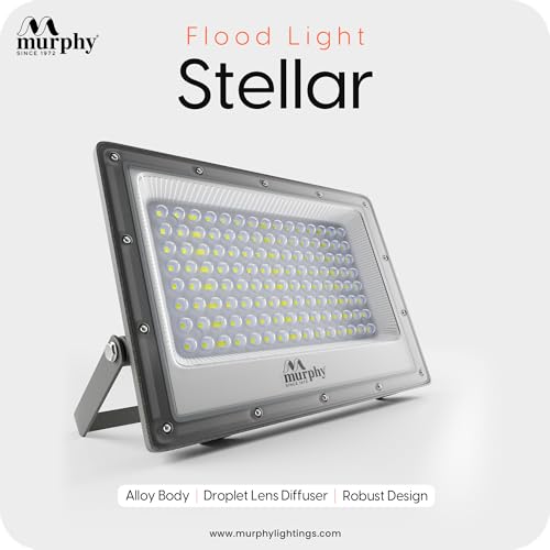 Murphy Stellar 100W LED Flood