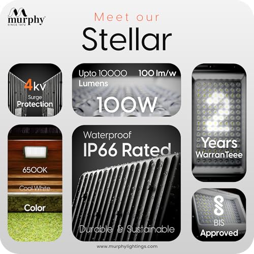 Murphy Stellar 100W LED Flood