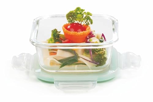 SignoraWare Lock N Store Borosilicate