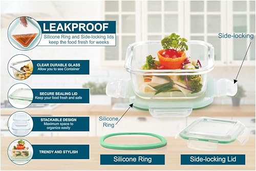 SignoraWare Lock N Store Borosilicate