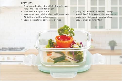 SignoraWare Lock N Store Borosilicate