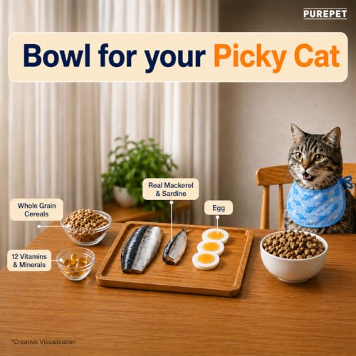 Purepet Adult Dry Cat Food Sea Food Flavour, 1 kg Pack - Image 3