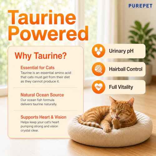 Purepet Adult Dry Cat Food Sea Food Flavour, 1 kg Pack - Image 4