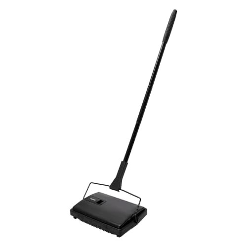 AGARO Delite Manual Carpet Cleaner