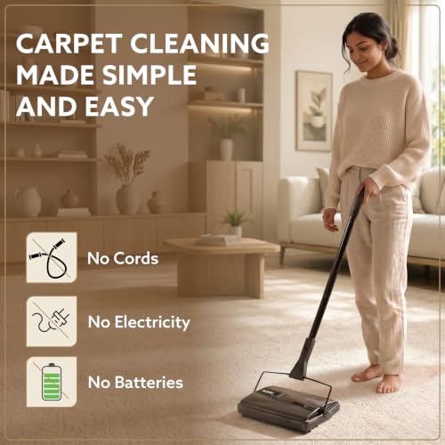 AGARO Delite Manual Carpet Cleaner