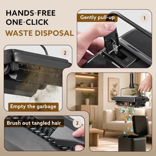 AGARO Delite Manual Carpet Cleaner