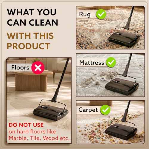 AGARO Delite Manual Carpet Cleaner