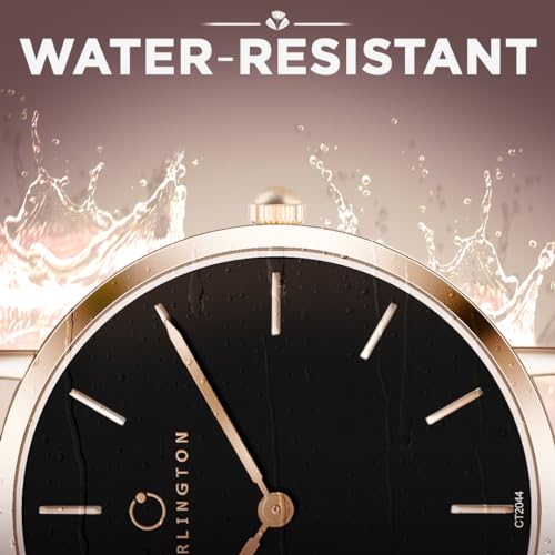 Carlington Iconic Analog Watches