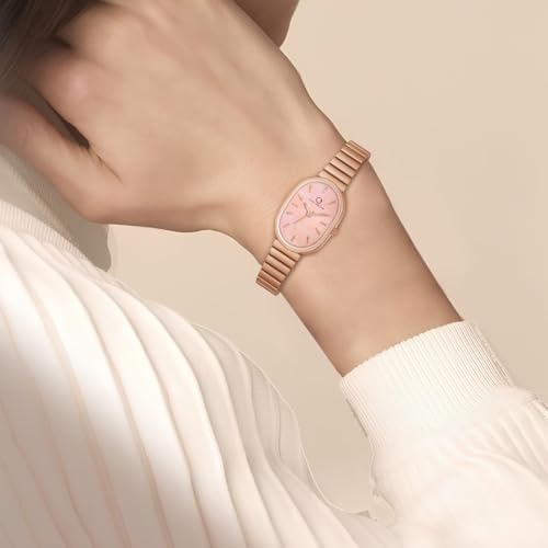 Carlington Iconic Analog Watches