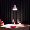 Wipro BeuHome BP04 Premium Indoor Decorative Light with Contempor - Image 5