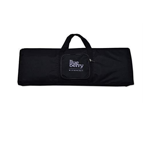 Blueberry KB-20 Keyboard Padded Gig