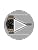 Titan Regalia Opulent Champagne Dial