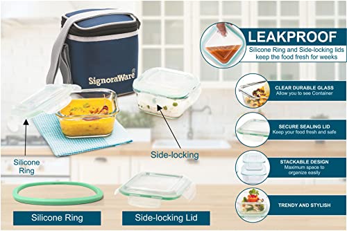 SignoraWare Director High Microwave Safe