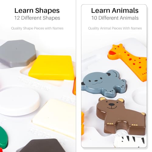 RATNA'S Shape Safari 2in1 Fun